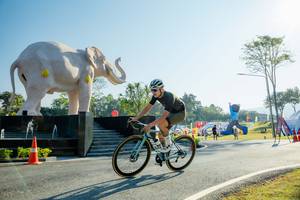 BIB: 
                            <button type="button" onclick="openModal(26183008)" class="btn btn-primary btn-sm float-right btn-popup" data-toggle="modal" data-target=".modal-high-quality">
                        <i class="fas fa-shopping-cart"></i> Add to Cart
                    </button>
                                            <button type="button" onclick="isThisMe(26183008, true)" class="btn btn-success btn-sm float-right btn-popup btn-isme hidden" data-toggle="tooltip" data-placement="bottom" title="นี่คือรูปของคุณใช่ไหม คลิกที่นี่เพื่อเอาเข้าอัลบั้ม">
                        <i class="fas fa-plus"></i> Add to album
                    </button>
                    <button type="button" onclick="isThisMe(26183008, false)" class="btn btn-warning btn-sm float-right btn-popup btn-isnotme hidden">
                        <i class="fas fa-ban"></i> Remove from album
                    </button>